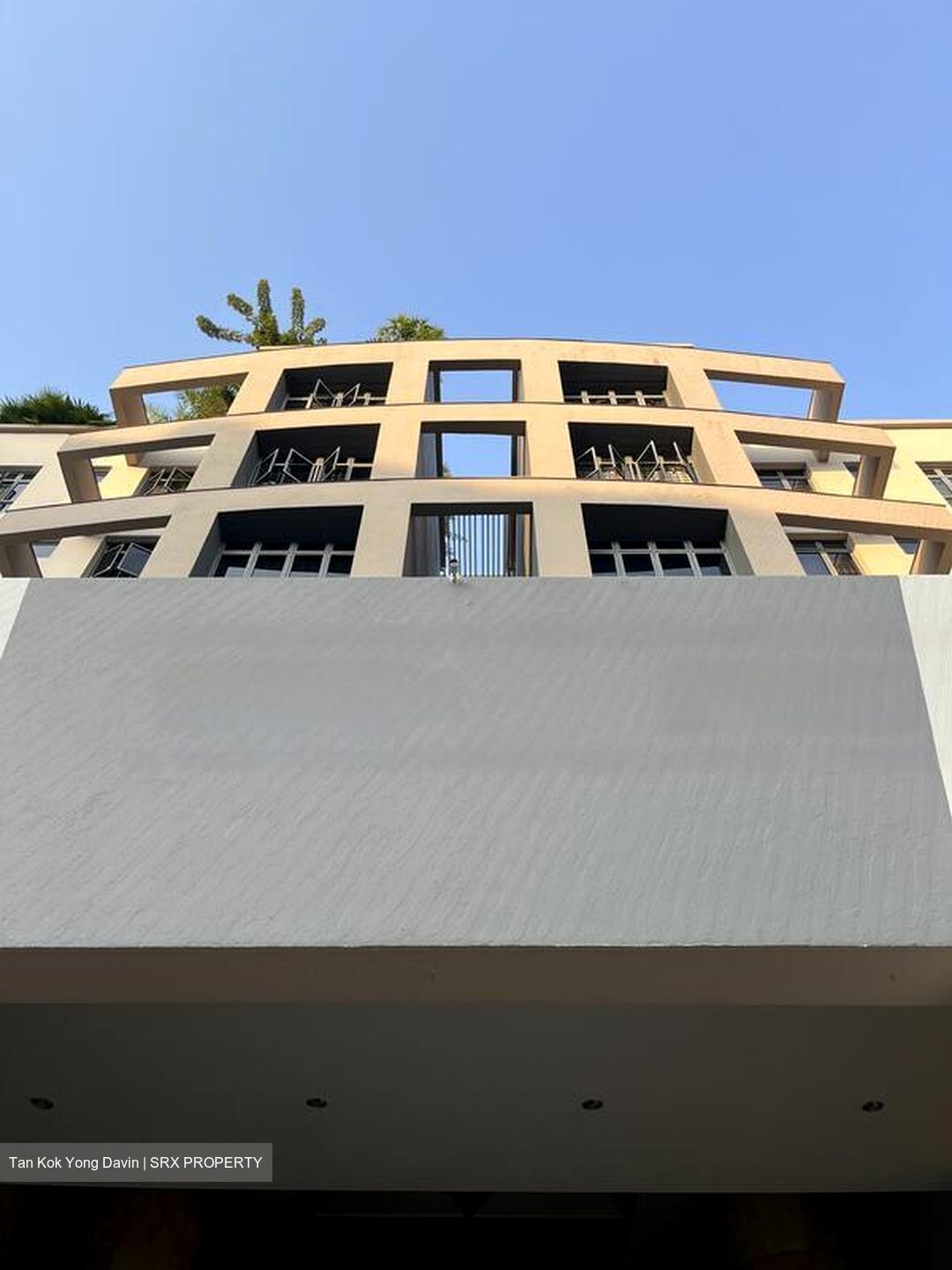 Carissa Park Condominium (D17), Condominium #613048841